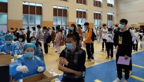 宝安媒体爆料最新消息新闻,重大新闻事件深度解析